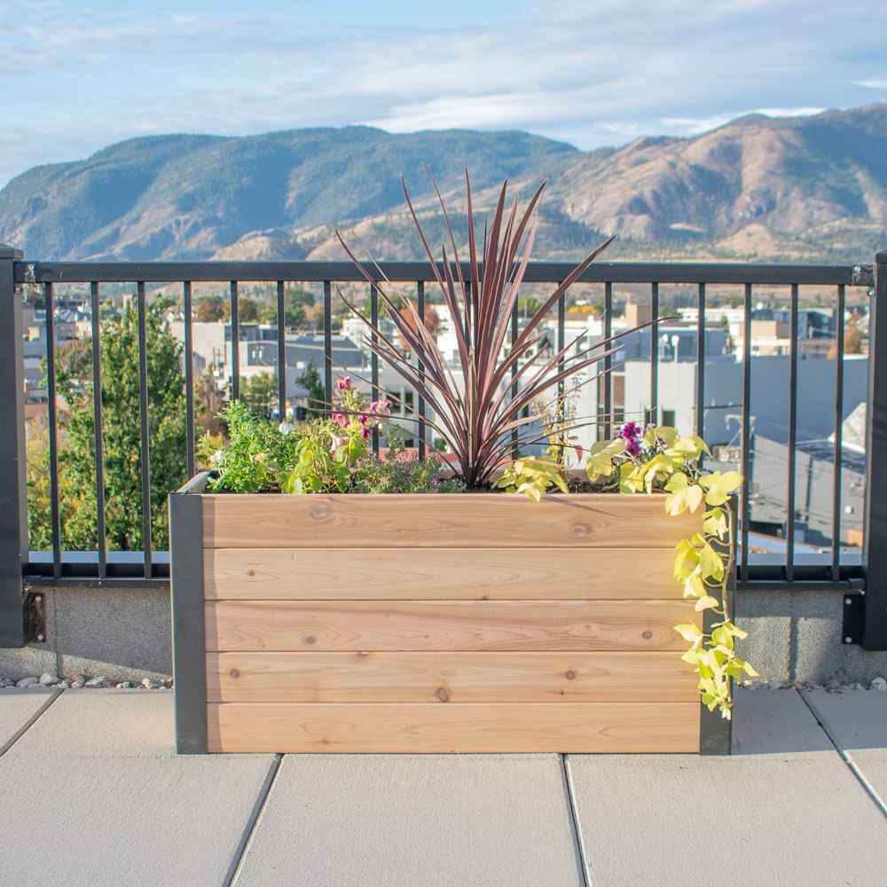 A front-facing view shows the Outdoor Living Today 4×1.5 Urban Raised Garden Bed on a rooftop with a scenic mountain backdrop