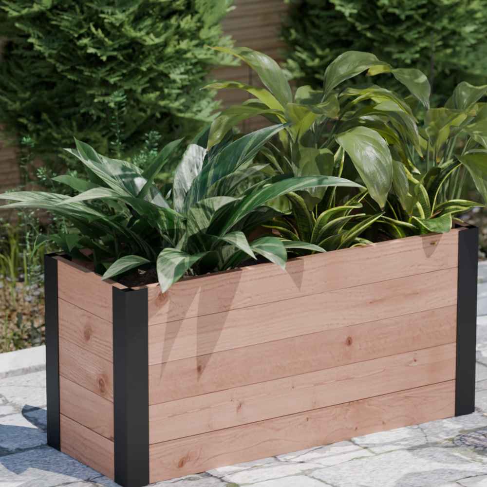 Outdoor Living Today 4×1.5 Urban Raised Garden Bed is filled with lush green foliage and set against a backdrop of evergreen shrubs