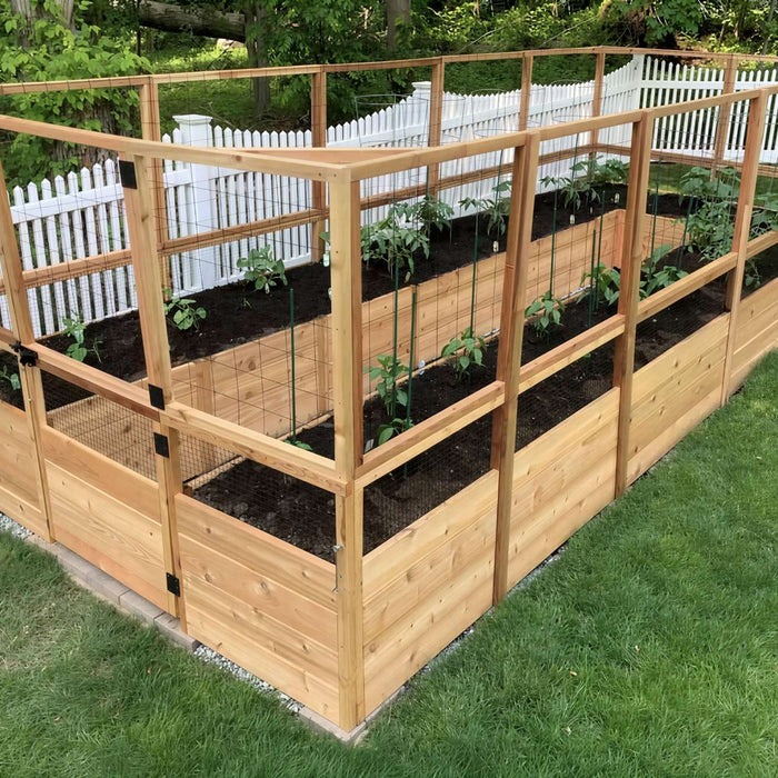 A large wooden enclosed garden structure shows young plants growing in neat rows, demonstrating what are raised garden beds in a backyard setting