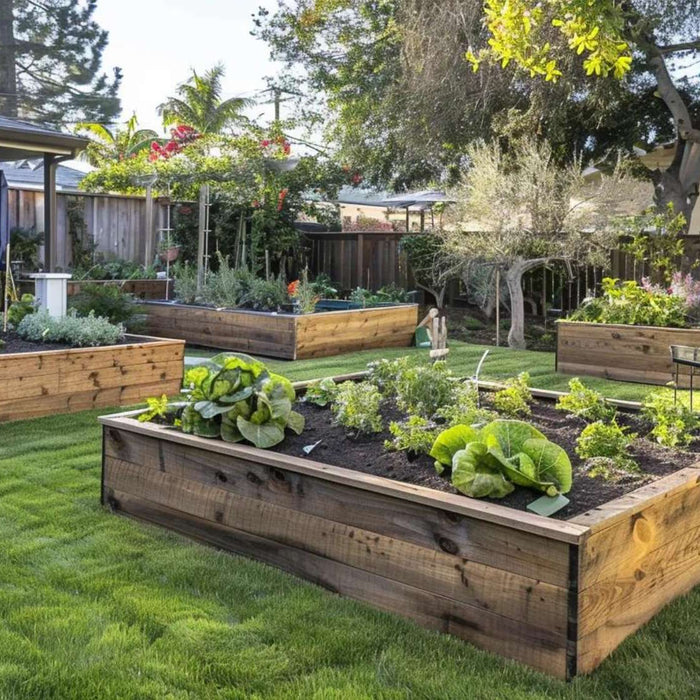 Raised garden beds surrounded by trees and open lawn illustrate water conservation gardening in a productive residential outdoor space