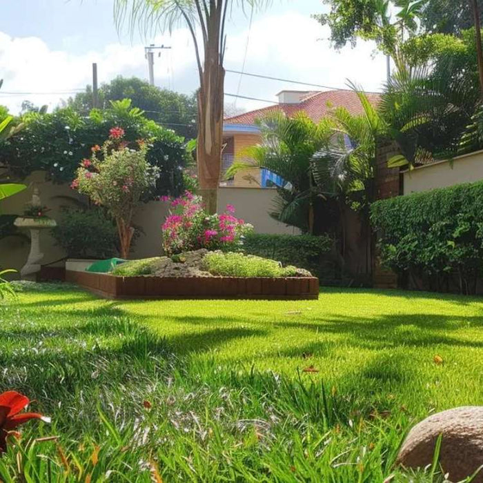 Sunny backyard with green lawn and a small raised flower bed, showing how build raised garden beds in a home garden