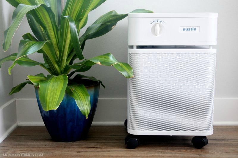 Best Air Purifiers