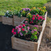 Close view of blooming flowers in a tiered bed focuses on the Outdoor Living Today 5.5×2 Tiered Cedar L-Shaped Raised Garden Bed in the middle