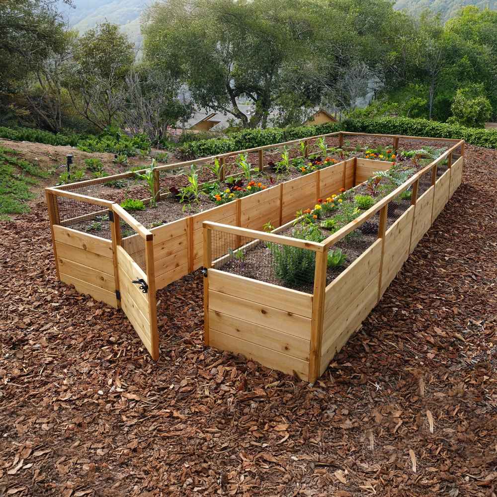A garden filled with colorful flowers and vegetables grows inside an Outdoor Living Today 8×16 Raised Garden Bed with both gates open on a mulch-covered path