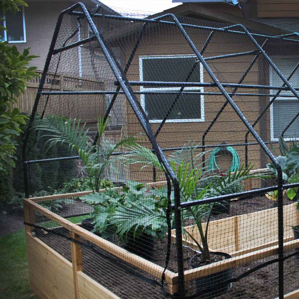 A triangular frame encloses the Outdoor Living Today 8×16 Raised Garden Bed, covered in fine netting with palm-like plants growing inside