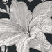 A detailed view of a large flower on Couristan Dolce Indoor/Outdoor Rug - Flora/Nero reveals fine line work and soft color contrast between ivory petals and the black background