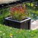 A beautiful plant growing in a sleek and durable Poly Lumber LuxCraft Square Planter