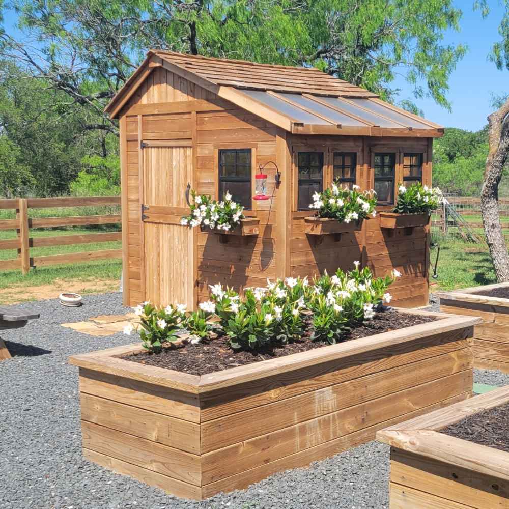 A charming backyard features raised garden beds and the Outdoor Living Today 8×8 Sunshed Garden Shed