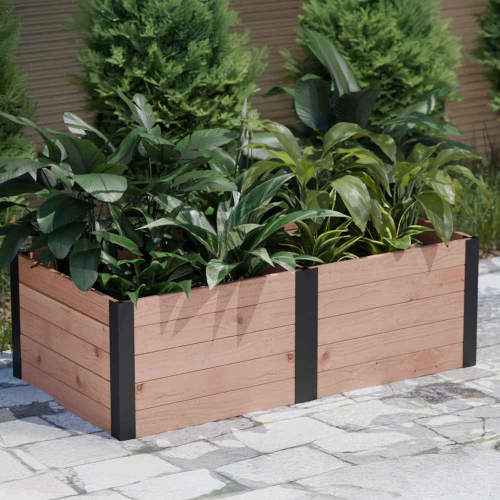 A corner view shows the Outdoor Living Today 6×3 Urban Raised Garden Bed brimming with leafy greenery on a paved surface beside evergreens