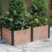 A corner view shows the Outdoor Living Today 6×3 Urban Raised Garden Bed brimming with leafy greenery on a paved surface beside evergreens