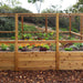 A front view of the Outdoor Living Today 8×12 Raised Garden Bed shows lush vegetables and bright flowers protected by mesh fencing and tall wood panels