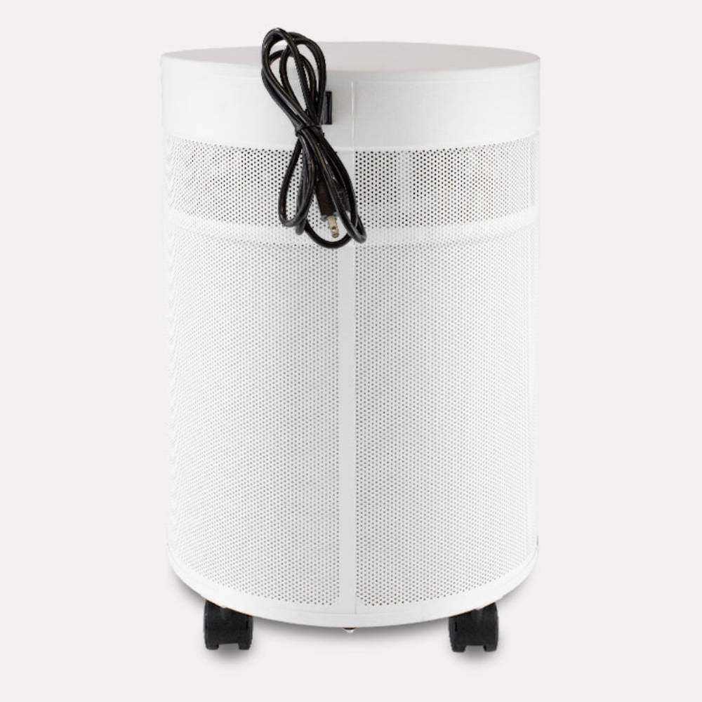 Airpura C700 DLX - Chemicals and Gas Abatement Plus Air Purifier-Freedom Room