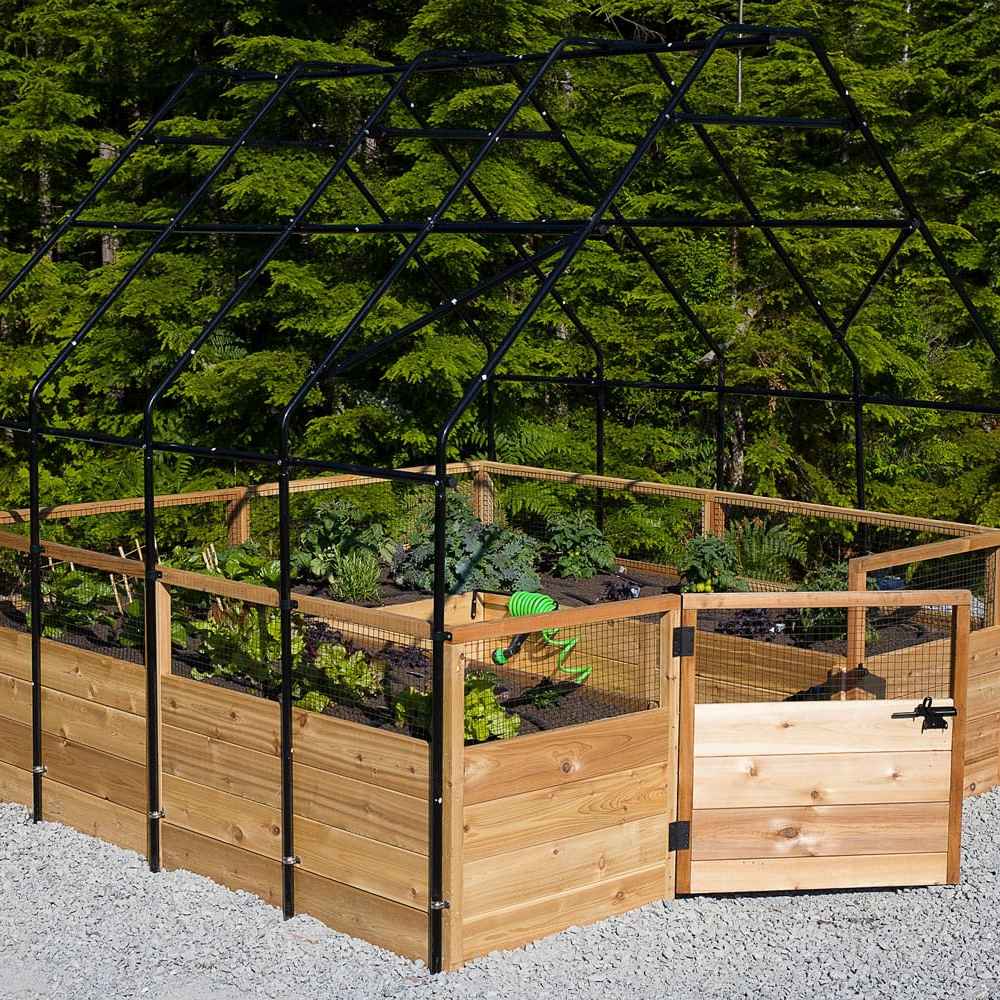 A large Outdoor Living Today 8×16 Raised Garden Bed with a black metal frame stands open under the sun, filled with green plants and a small gate in front