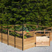 A large Outdoor Living Today 8×16 Raised Garden Bed with a black metal frame stands open under the sun, filled with green plants and a small gate in front