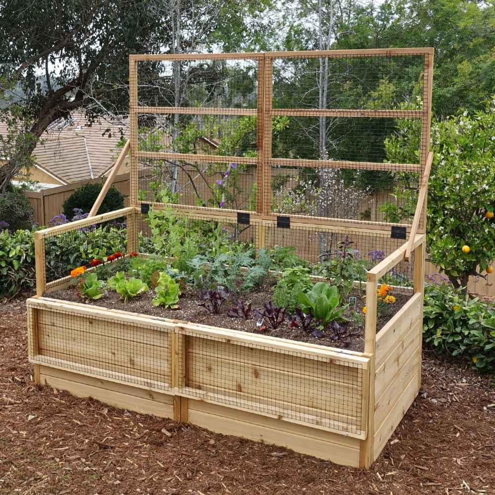 A lush garden bed full of greens and flowers is protected by a tall trellis in the back, part of the Outdoor Living Today 6×3 Raised Garden Bed system
