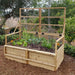 A lush garden bed full of greens and flowers is protected by a tall trellis in the back, part of the Outdoor Living Today 6×3 Raised Garden Bed system