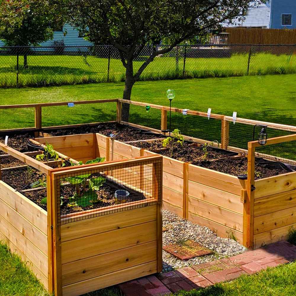 An Outdoor Living Today 8×12 Raised Garden Bed sits under a tree with young plants growing in its neatly organized, fenced-in wooden beds