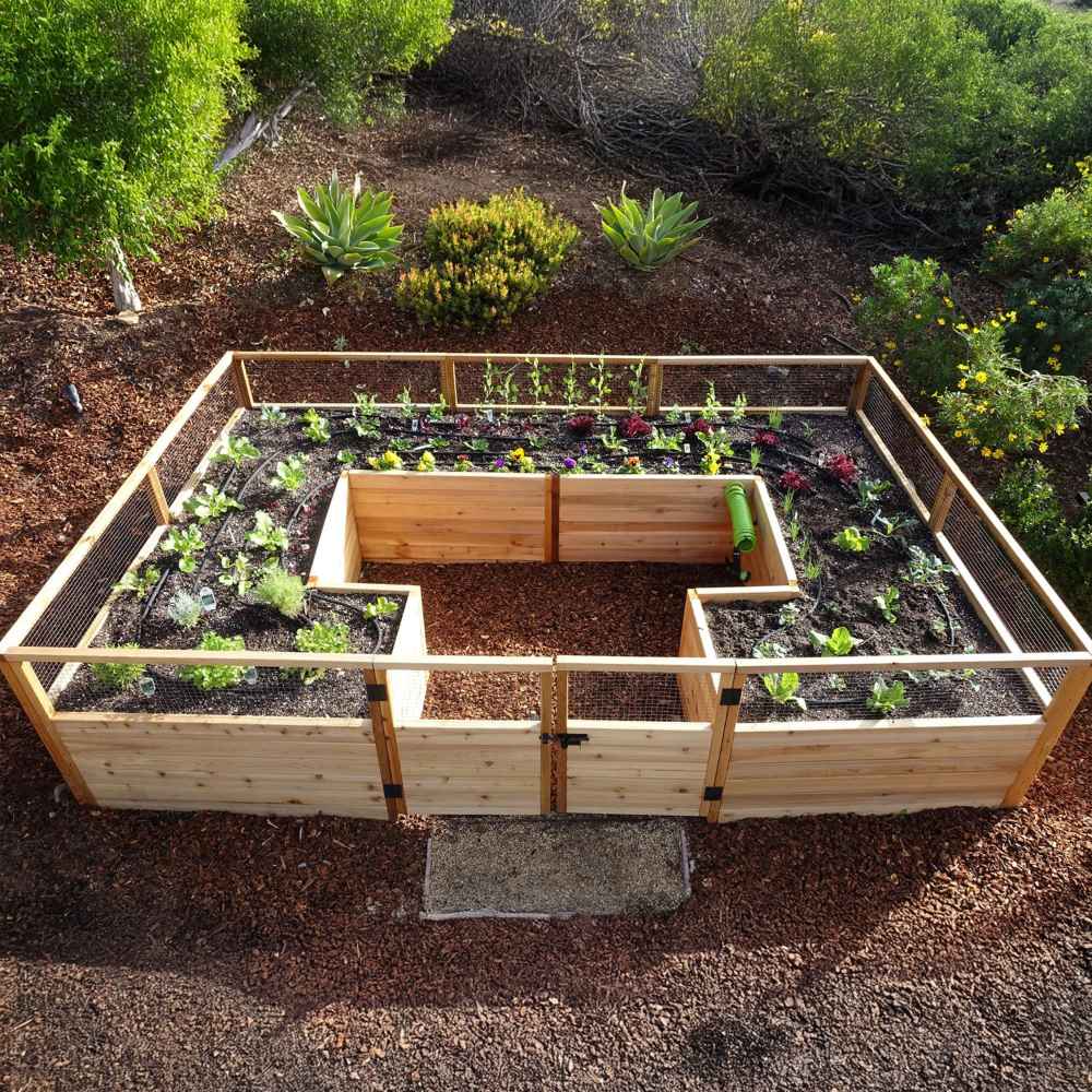 An overhead view of the Outdoor Living Today 12×8 Raised Garden Bed displays a U-shaped layout filled with various vegetables and flowers in rich soil