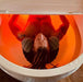 A person with dreadlocks floats serenely in a Dreampod Home Float Pro, with the water illuminated in a warm red glow