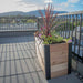 A side view shows the Outdoor Living Today 4×1.5 Urban Raised Garden Bed on a sunny rooftop garden with vibrant plants inside
