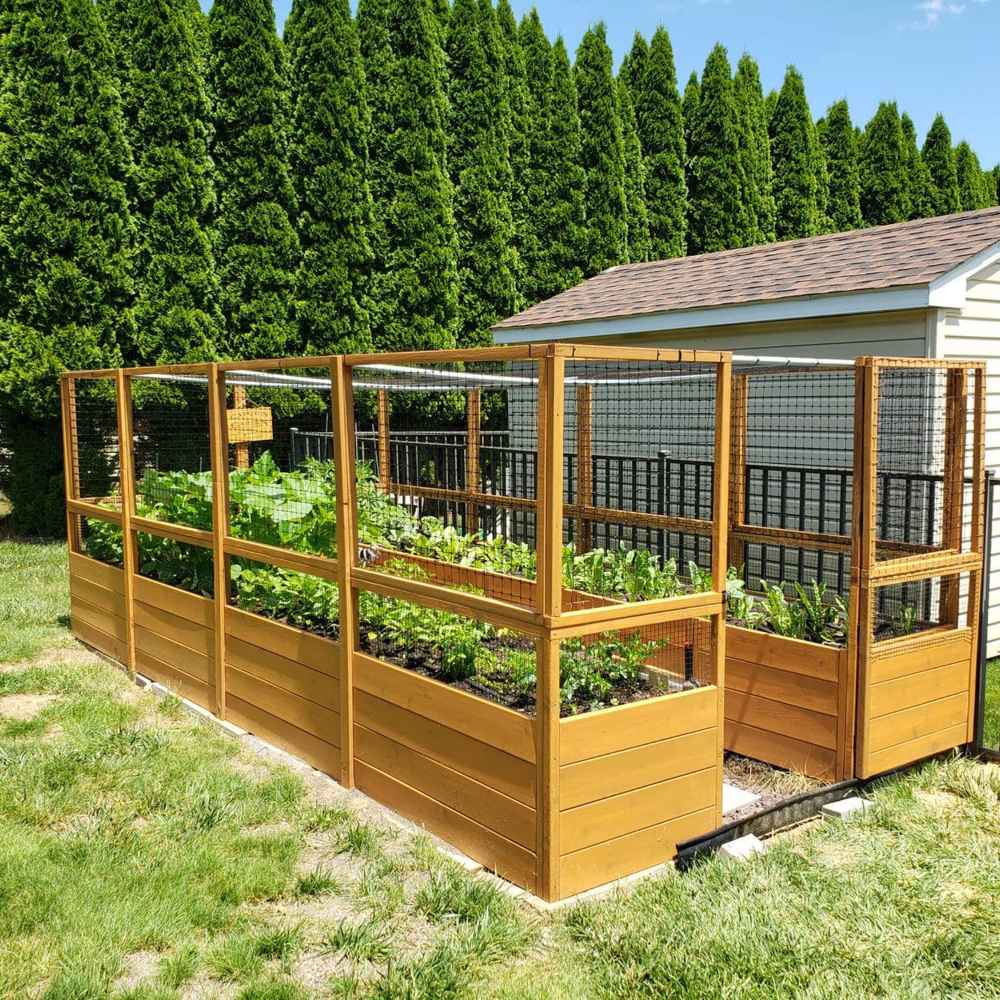 A spacious Outdoor Living Today 8×16 Raised Garden Bed with a tall mesh enclosure stands in a sunny backyard beside a shed and lush green hedge