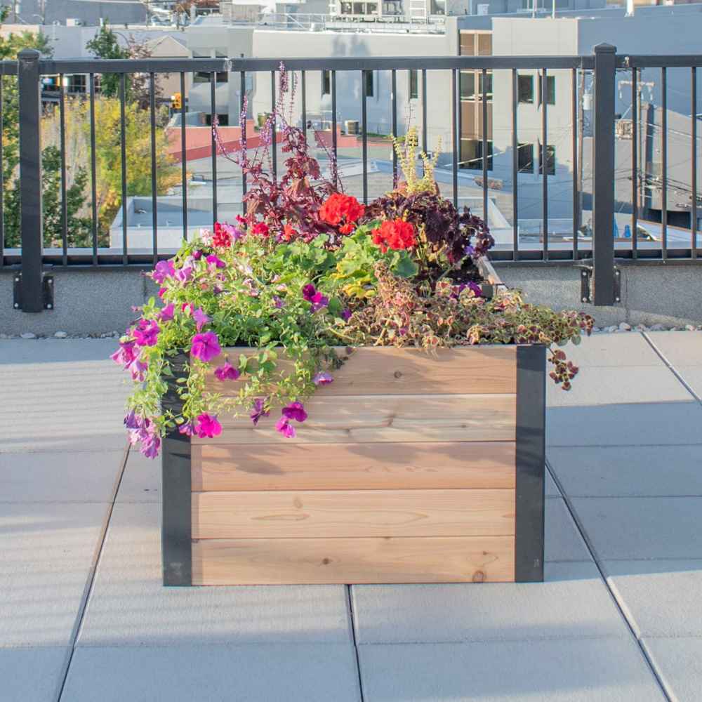 A straight-on view of the Outdoor Living Today 6×3 Urban Raised Garden Bed shows it overflowing with vibrant flowers on a rooftop