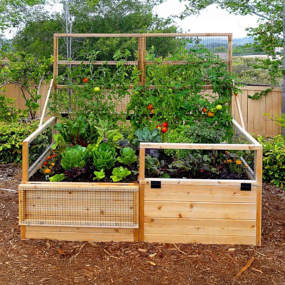 A vibrant vegetable garden overflows with produce and tomato vines supported by a trellis in the Outdoor Living Today 6×3 Raised Garden Bed