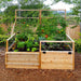A vibrant vegetable garden overflows with produce and tomato vines supported by a trellis in the Outdoor Living Today 6×3 Raised Garden Bed