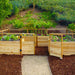 A wooden garden bed with two gates open, filled with vibrant vegetables and flowers, is featured in the Outdoor Living Today 12×8 Raised Garden Bed