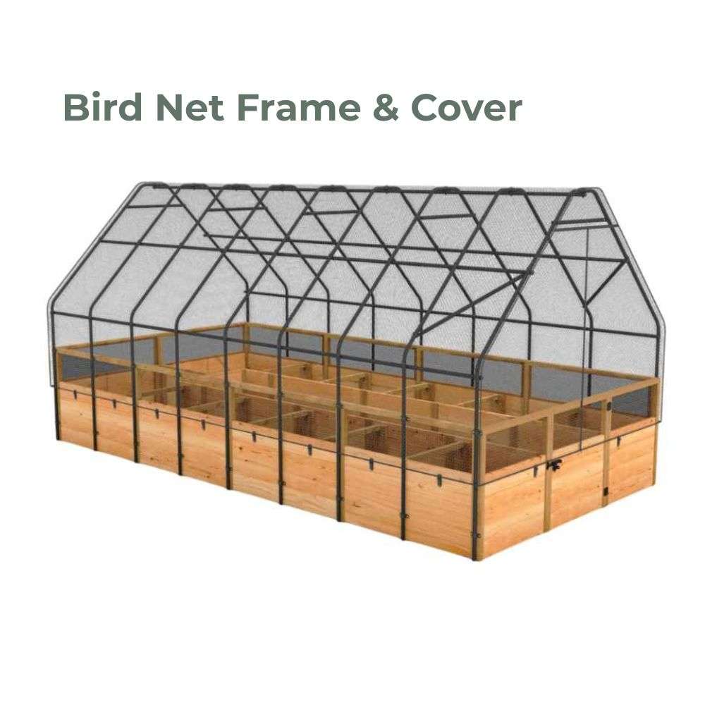 Bird Net Frame & Cover Outdoor Living Today 8x16 Raised Garden Bed with a tall black frame and protective bird netting covering the wooden planter