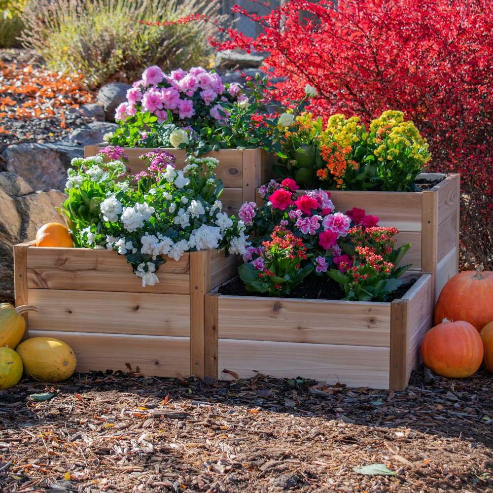 Bright flowers arranged in tiers with the Outdoor Living Today 3.5×4 Tiered Cedar Corner Raised Garden Bed as the focal point