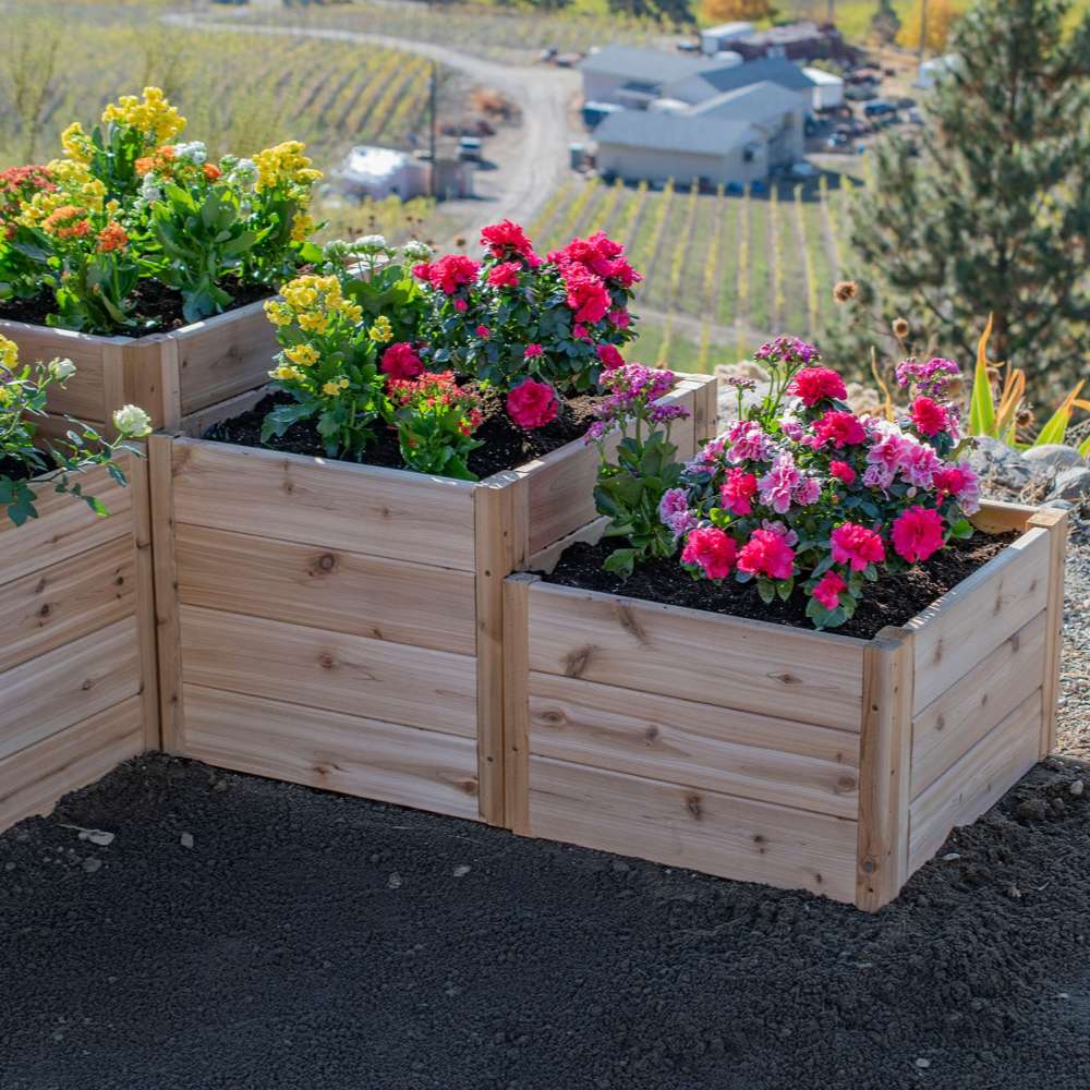 Cedar tiered garden bed with colorful blooms overlooks a farm landscape, featuring the Outdoor Living Today 5.5×2 Tiered Cedar L-Shaped Raised Garden Bed in the middle