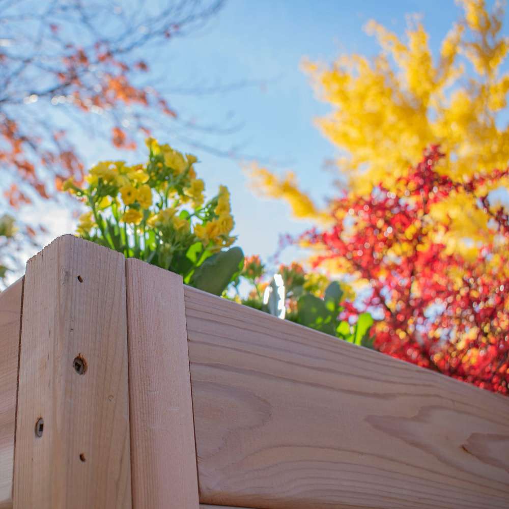 Close-up of cedar wood tiers showing the Outdoor Living Today 3.5×4 Tiered Cedar Corner Raised Garden Bed at the center