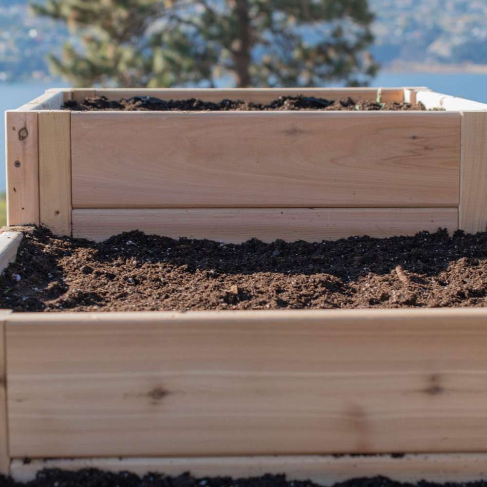 Close-up of soil inside a wooden planter focuses on the Outdoor Living Today 5.5×2 Tiered Cedar L-Shaped Raised Garden Bed