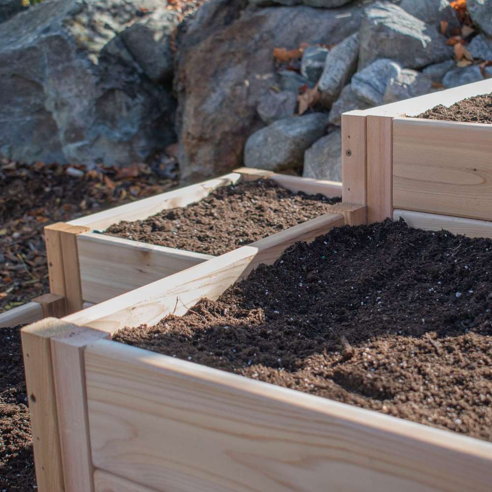 Close-up of soil inside wooden tiers shows the Outdoor Living Today 3.5×4 Tiered Cedar Corner Raised Garden Bed at the center