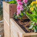 Close-up of sturdy cedar wood and soil centers on the Outdoor Living Today 5.5×2 Tiered Cedar L-Shaped Raised Garden Bed
