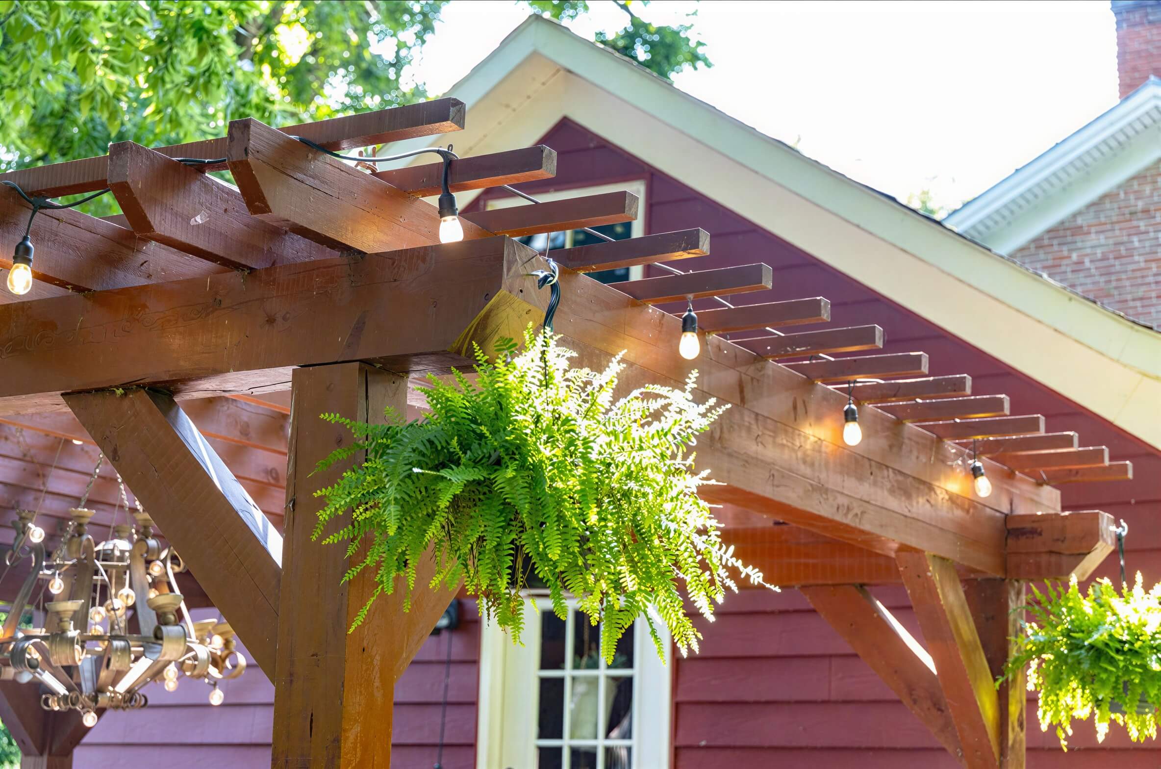 Close-up view of Brookside Timber Frame Fern Shade Pergola shows its sturdy beams, glowing string lights, and lush green ferns hanging from the corners