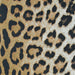 Close-up view of Couristan Dolce Indoor/Outdoor Rug - Amur Leopard/New Gold shows a dense field of black spots on a fading gradient of golden tan and ivory