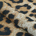 Couristan Dolce Indoor/Outdoor Rug - Amur Leopard/New Gold is rolled up to reveal its tightly woven fabric and thick texture with vivid animal print design