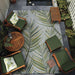 Couristan Dolce Indoor/Outdoor Rug - Bamboo Forest/Frost is placed on a stylish outdoor patio with green-cushioned wooden furniture