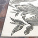 Couristan Dolce Indoor/Outdoor Rug - Flora/Snow is angled in a corner view