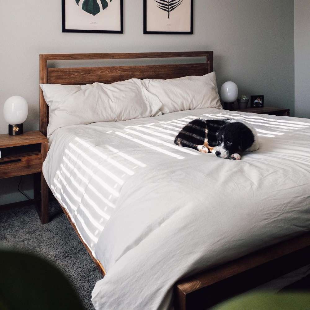Crate & Barrel Linea Natural Teak Wood Bed with white bedding, wood nightstands, wall art, and a small black and white dog resting on top