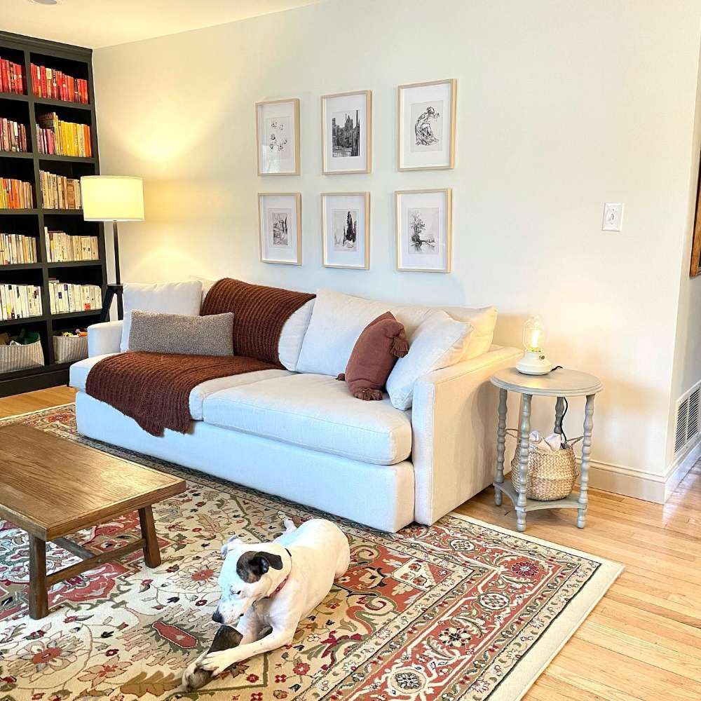 Crate & Barrel Lounge Sofa styled in a cozy living room with decorative pillows, a throw blanket, a patterned rug, and a dog resting nearby