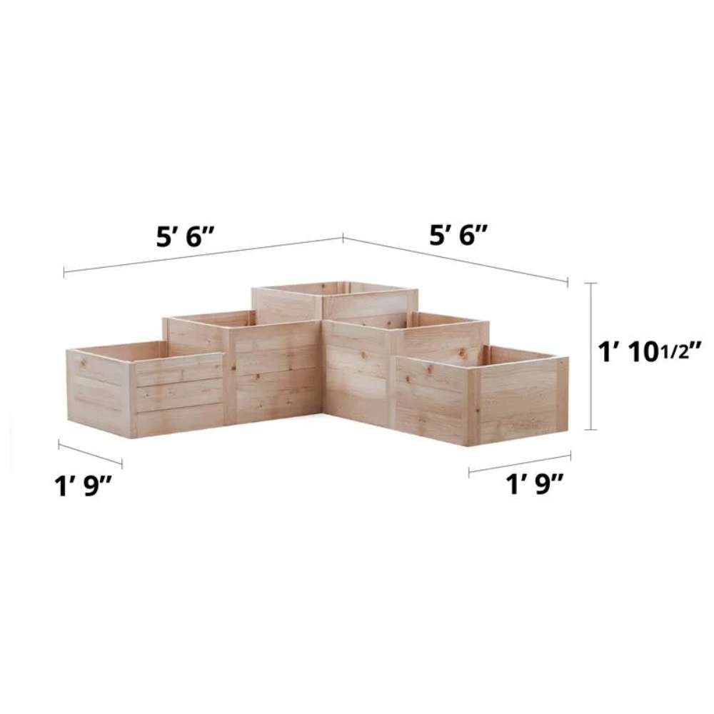 Dimension diagram shows the size and tiered layout of the Outdoor Living Today 5.5×2 Tiered Cedar L-Shaped Raised Garden Bed with labeled width, depth, and height measurements
