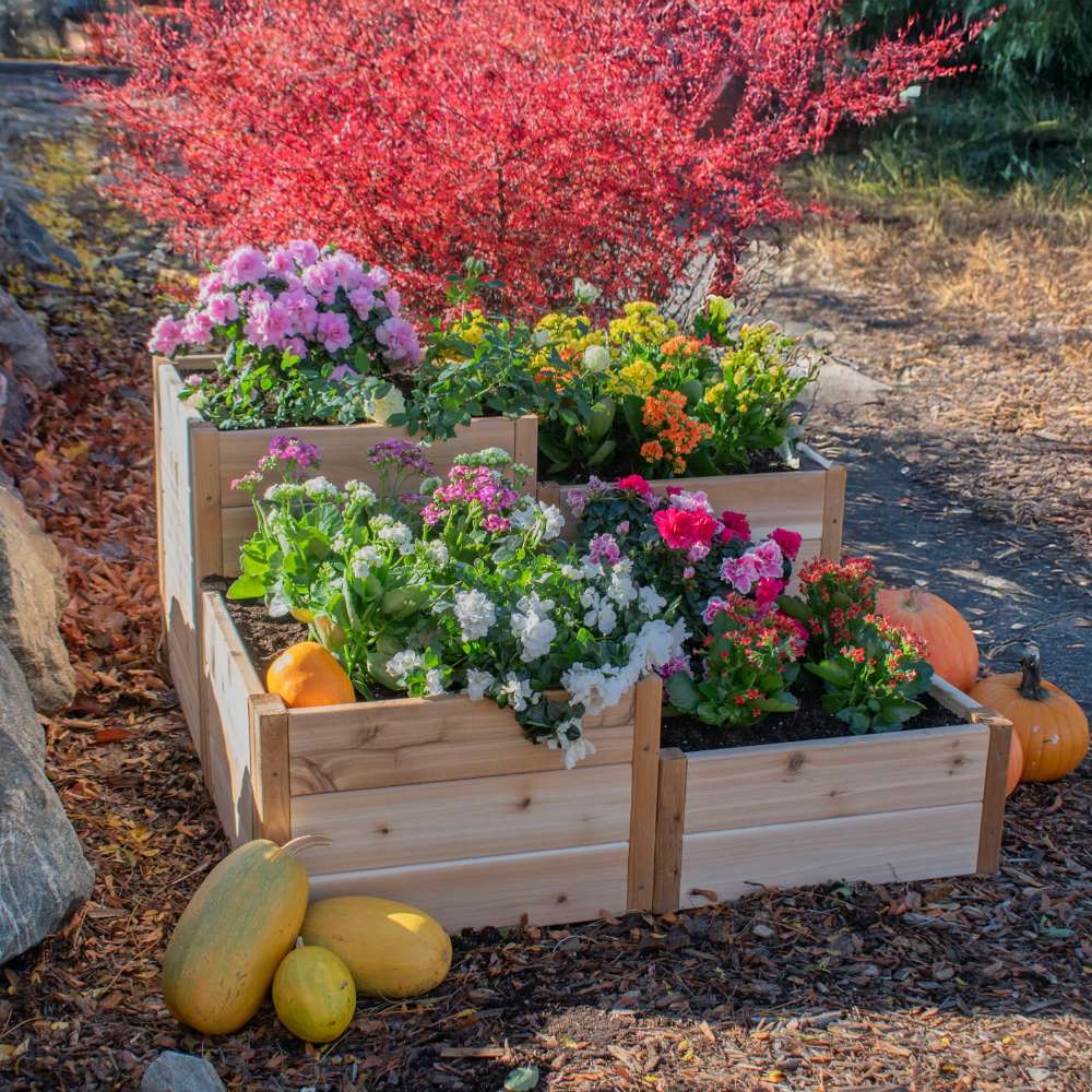 Flower-filled corner garden with pumpkins highlighting the Outdoor Living Today 3.5×4 Tiered Cedar Corner Raised Garden Bed in the middle