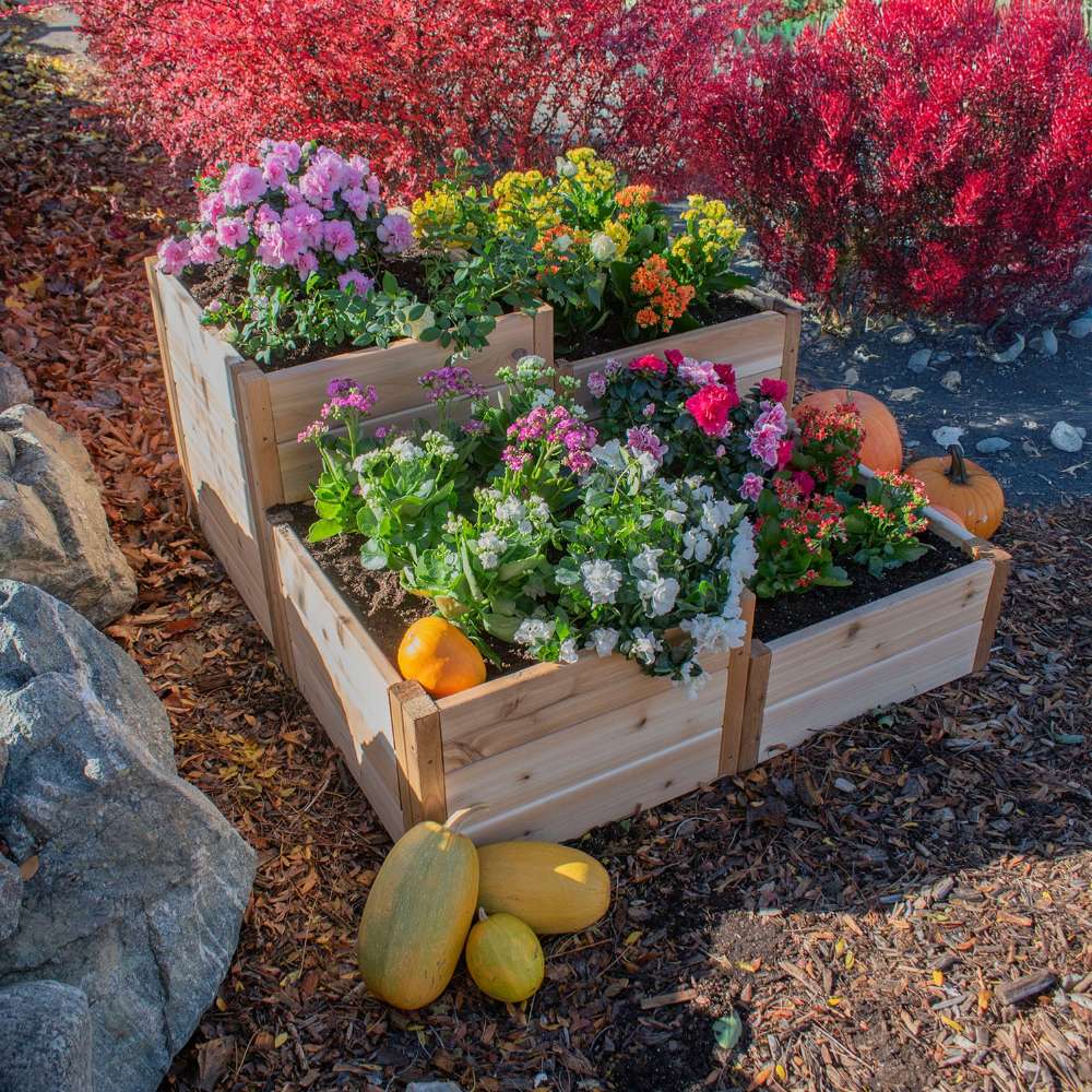 Flower-filled tiered planter with pumpkins nearby showcases the Outdoor Living Today 3.5×4 Tiered Cedar Corner Raised Garden Bed in the middle