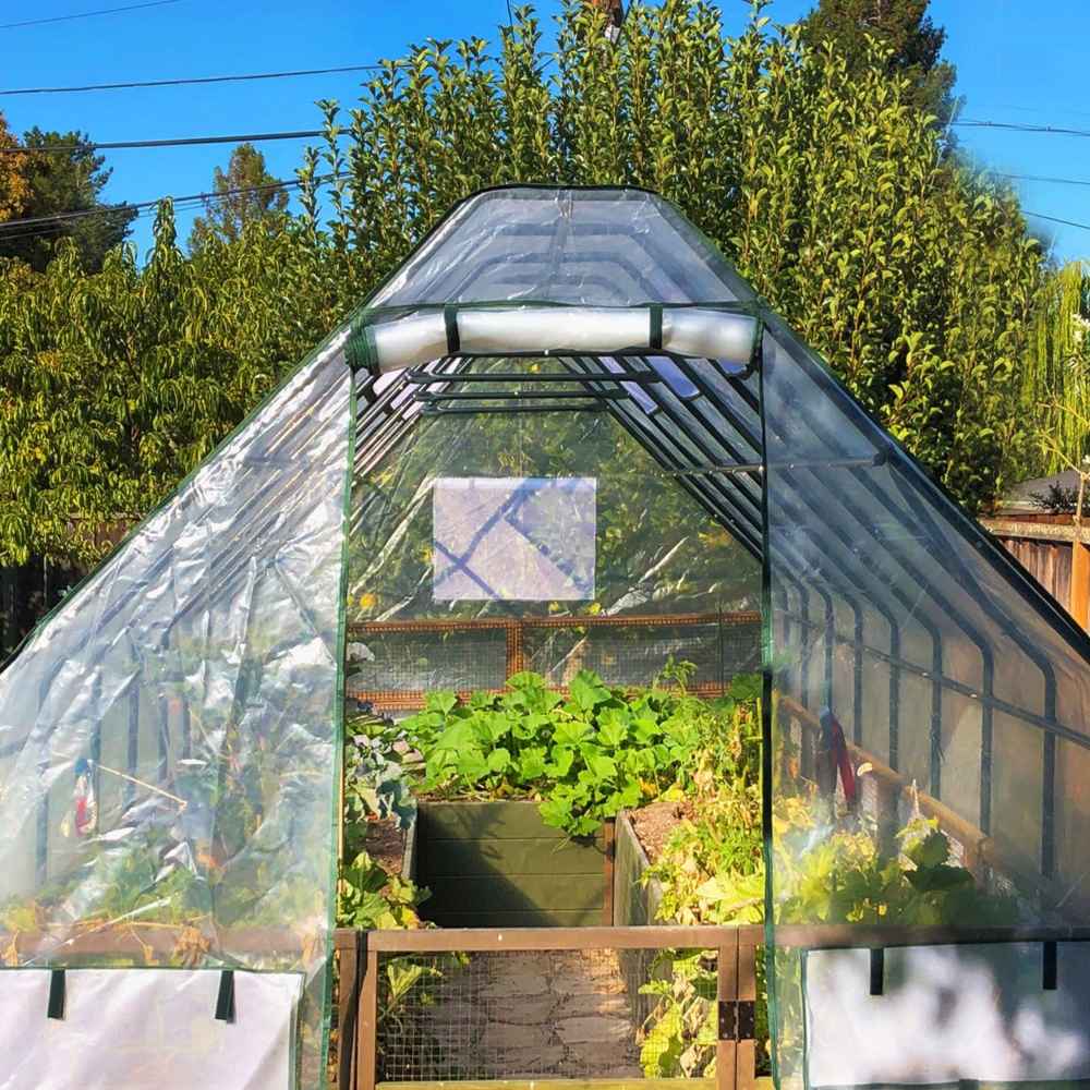 Front view shows Outdoor Living Today 8×12 Raised Garden Bed filled with leafy green plants under a transparent greenhouse cover on a sunny day