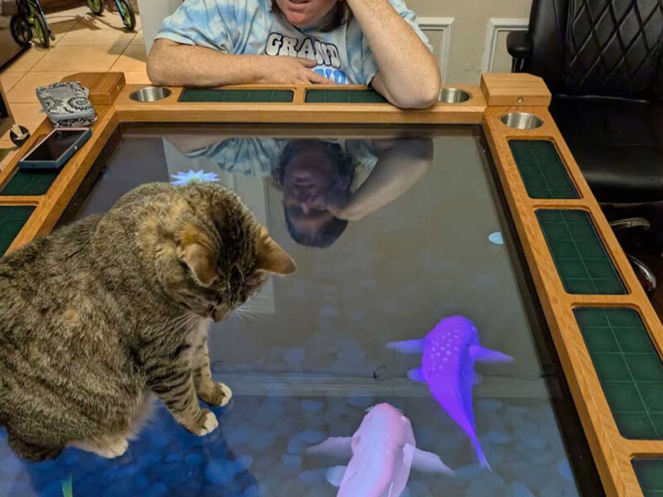 Game Theory Tables The Arena Founders Edition is used to entertain a cat with a digital aquarium display