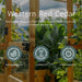Garden fence and plants backdrop emphasizes the durable Outdoor Living Today 3.5×4 Tiered Cedar Corner Raised Garden Bed