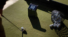 Golf ball sits on indoor turf next to a driver, with TruGolf LaunchBox Golf Launch Monitor w/ E6 CONNECT Home positioned nearby to measure the shot
